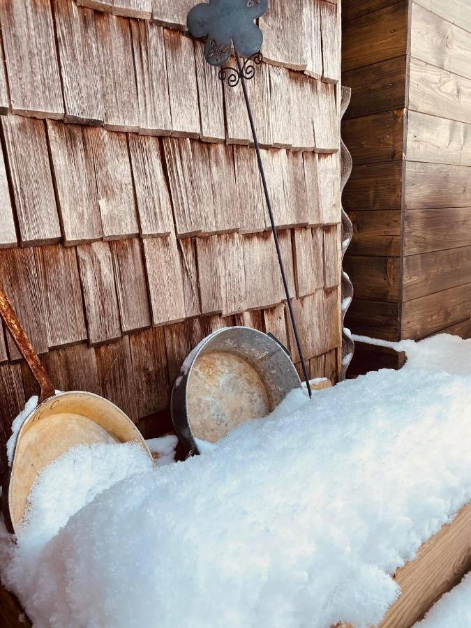 Forest Chalet, 15 Min To Salzburg Olt Town, And Most Beautiful Lakes, Secluded Location, 1,000 Sqm Garden, Mountainview, Panorama Sauna, Bath Whirlpool, Bbq&Bikes&Sunbeds For Free, Up To 10 P Golling an der Salzach Zewnętrze zdjęcie