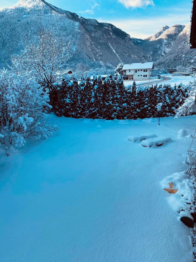 Forest Chalet, 15 Min To Salzburg Olt Town, And Most Beautiful Lakes, Secluded Location, 1,000 Sqm Garden, Mountainview, Panorama Sauna, Bath Whirlpool, Bbq&Bikes&Sunbeds For Free, Up To 10 P Golling an der Salzach Zewnętrze zdjęcie