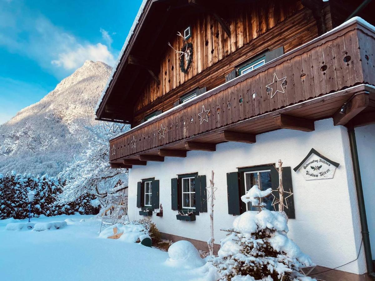 Forest Chalet, 15 Min To Salzburg Olt Town, And Most Beautiful Lakes, Secluded Location, 1,000 Sqm Garden, Mountainview, Panorama Sauna, Bath Whirlpool, Bbq&Bikes&Sunbeds For Free, Up To 10 P Golling an der Salzach Zewnętrze zdjęcie