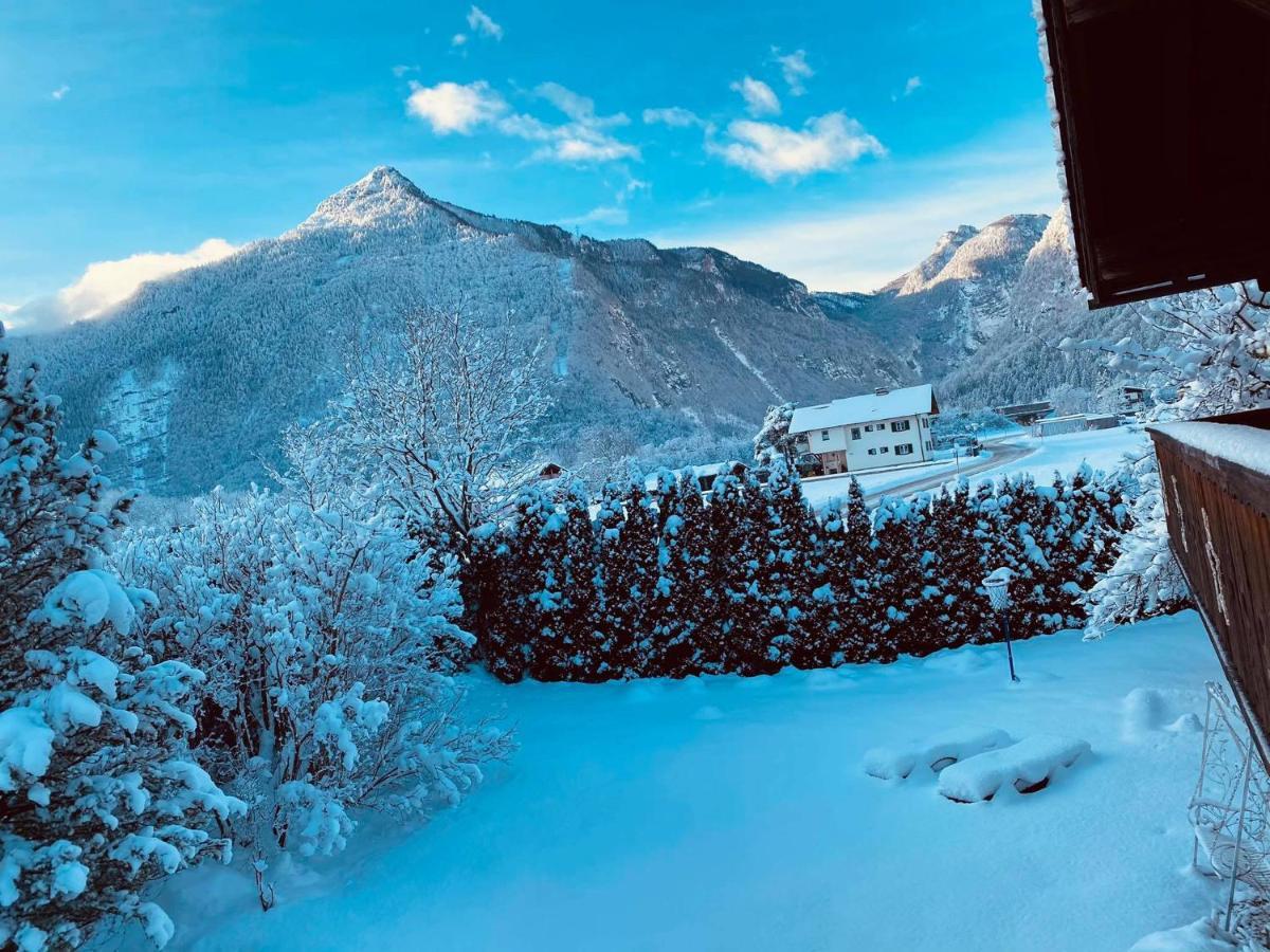 Forest Chalet, 15 Min To Salzburg Olt Town, And Most Beautiful Lakes, Secluded Location, 1,000 Sqm Garden, Mountainview, Panorama Sauna, Bath Whirlpool, Bbq&Bikes&Sunbeds For Free, Up To 10 P Golling an der Salzach Zewnętrze zdjęcie