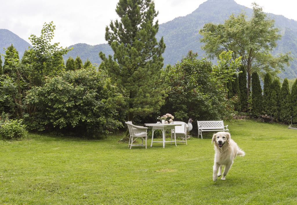 Forest Chalet, 15 Min To Salzburg Olt Town, And Most Beautiful Lakes, Secluded Location, 1,000 Sqm Garden, Mountainview, Panorama Sauna, Bath Whirlpool, Bbq&Bikes&Sunbeds For Free, Up To 10 P Golling an der Salzach Zewnętrze zdjęcie