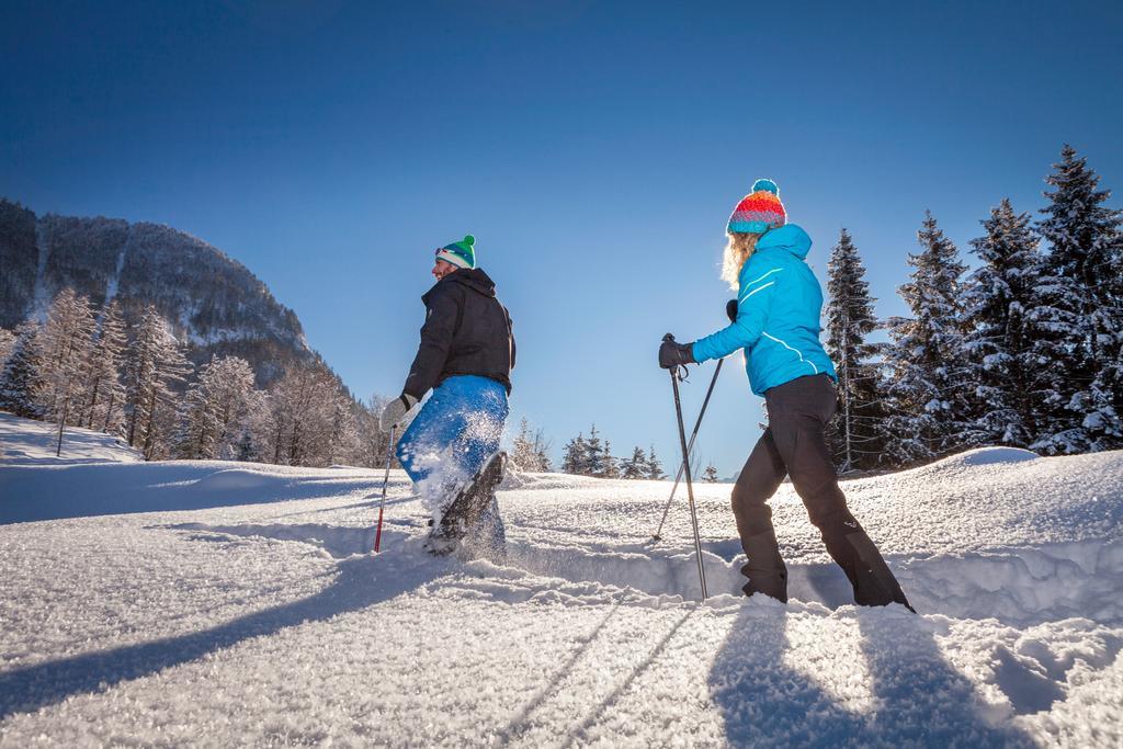 Forest Chalet, 15 Min To Salzburg Olt Town, And Most Beautiful Lakes, Secluded Location, 1,000 Sqm Garden, Mountainview, Panorama Sauna, Bath Whirlpool, Bbq&Bikes&Sunbeds For Free, Up To 10 P Golling an der Salzach Zewnętrze zdjęcie