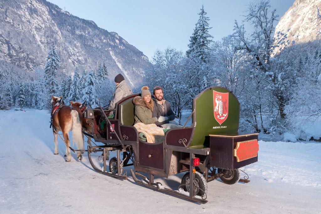 Forest Chalet, 15 Min To Salzburg Olt Town, And Most Beautiful Lakes, Secluded Location, 1,000 Sqm Garden, Mountainview, Panorama Sauna, Bath Whirlpool, Bbq&Bikes&Sunbeds For Free, Up To 10 P Golling an der Salzach Zewnętrze zdjęcie
