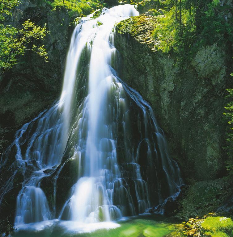 Forest Chalet, 15 Min To Salzburg Olt Town, And Most Beautiful Lakes, Secluded Location, 1,000 Sqm Garden, Mountainview, Panorama Sauna, Bath Whirlpool, Bbq&Bikes&Sunbeds For Free, Up To 10 P Golling an der Salzach Zewnętrze zdjęcie