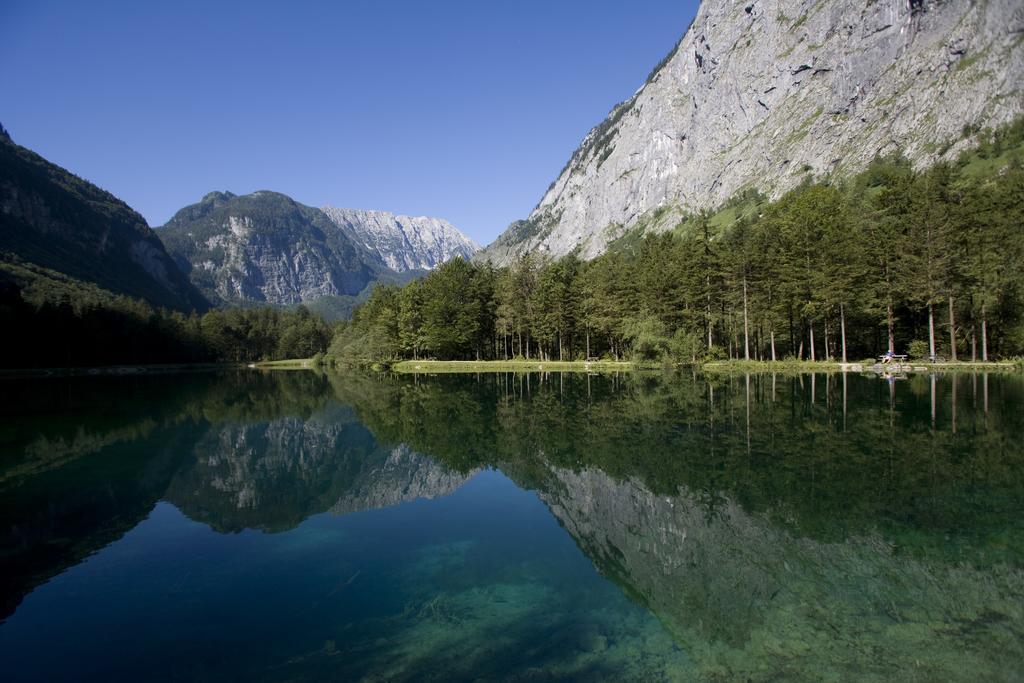 Forest Chalet, 15 Min To Salzburg Olt Town, And Most Beautiful Lakes, Secluded Location, 1,000 Sqm Garden, Mountainview, Panorama Sauna, Bath Whirlpool, Bbq&Bikes&Sunbeds For Free, Up To 10 P Golling an der Salzach Zewnętrze zdjęcie